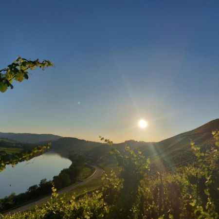 Ferienwohnungen Zum Niederberg ลีเซอร์ ภายนอก รูปภาพ