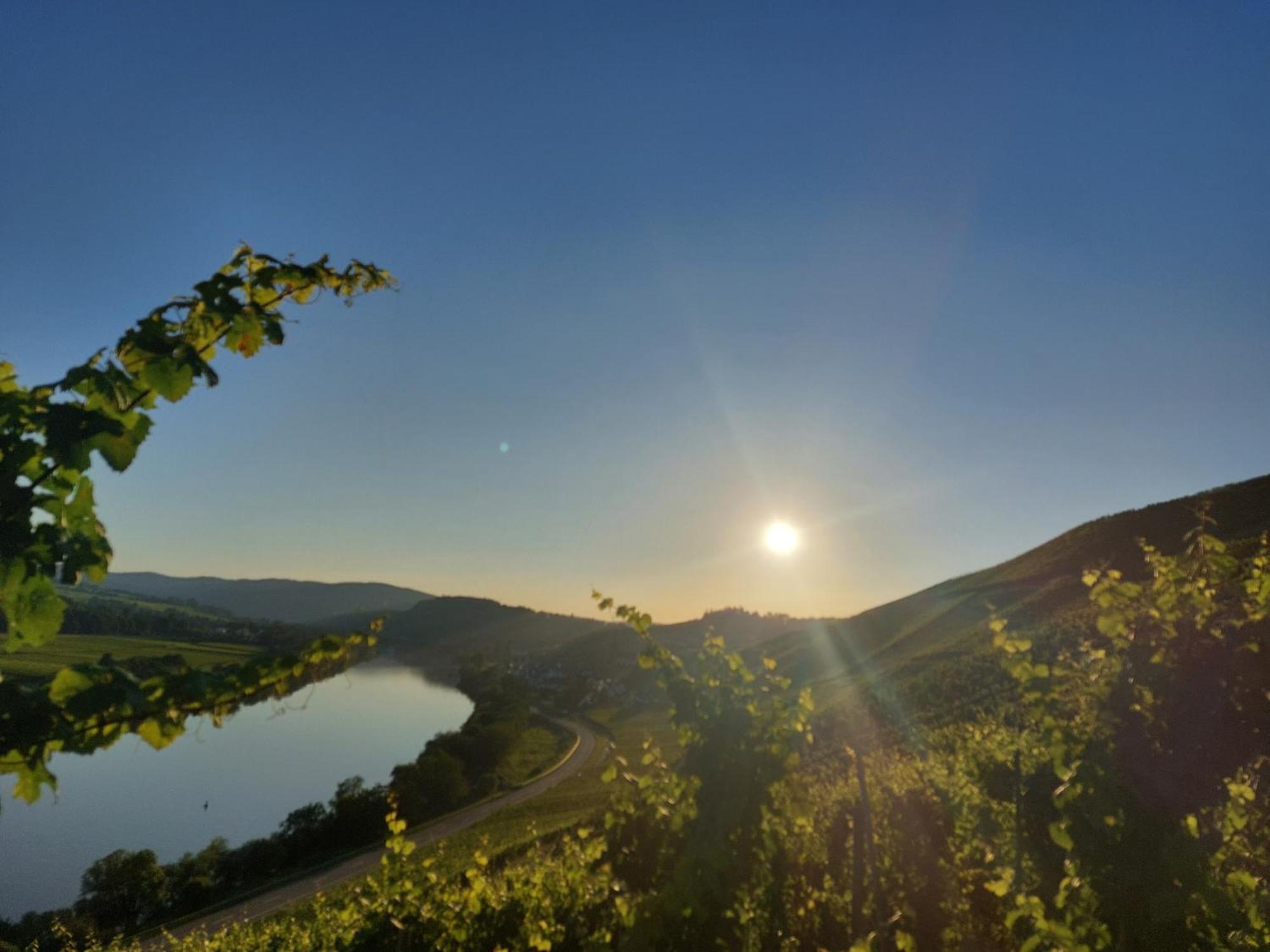 Ferienwohnungen Zum Niederberg ลีเซอร์ ภายนอก รูปภาพ