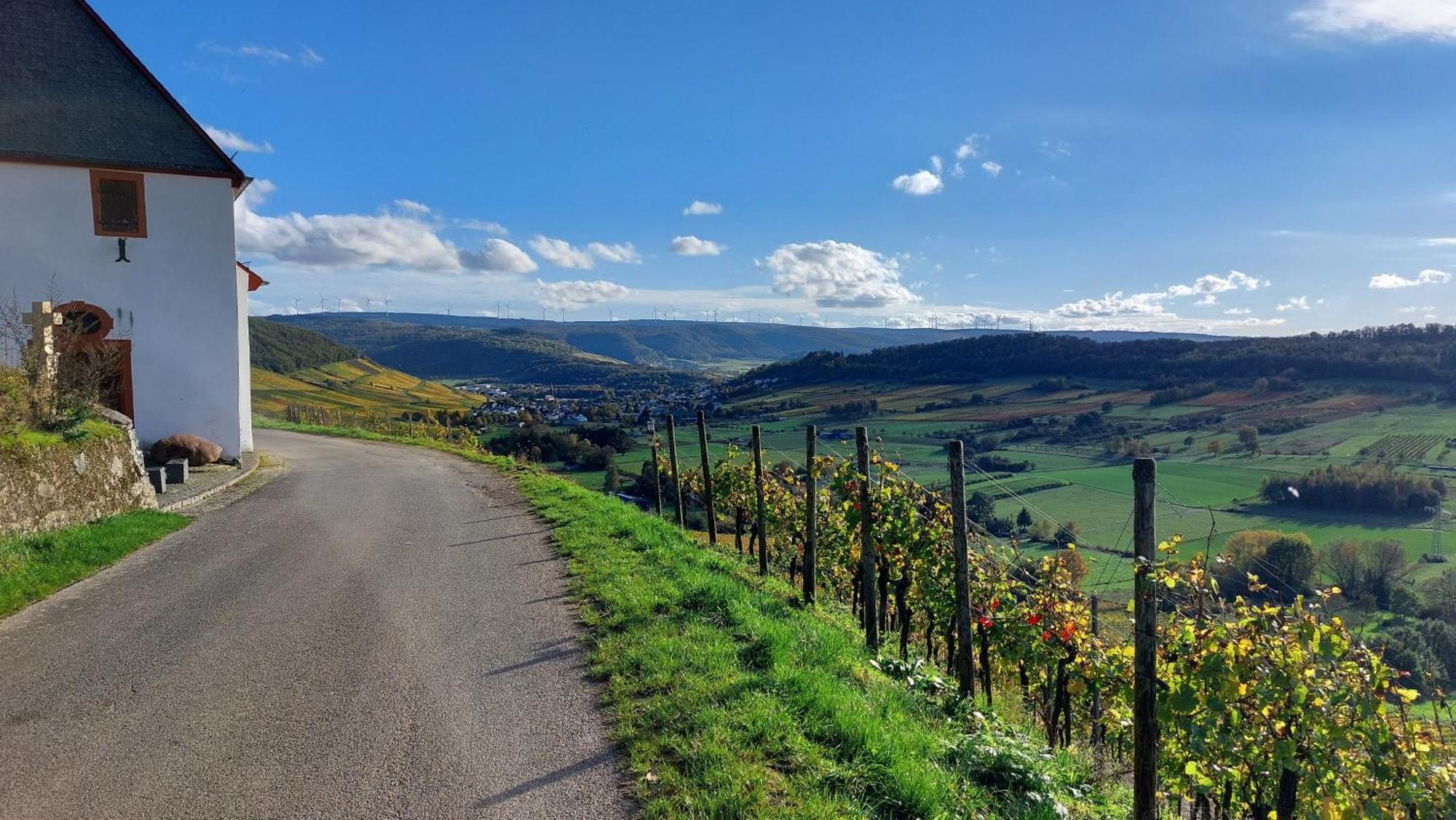 Ferienwohnungen Zum Niederberg ลีเซอร์ ภายนอก รูปภาพ
